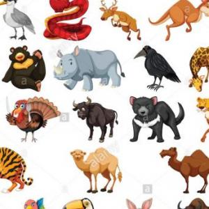 Animales en ingles