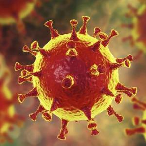Quarantined educational alternatives