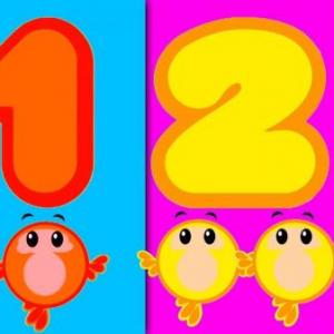 Número 1 - 2