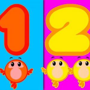 Número 1 - 2