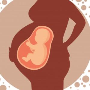 Portada del juego Estática Fetal – Salud