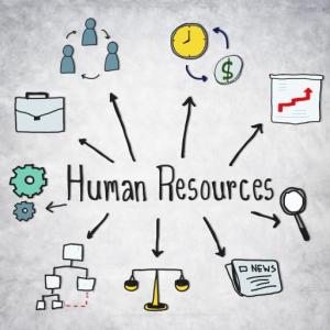 Procesos Gestión del Talento Humano