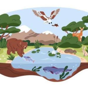 Naturaleza