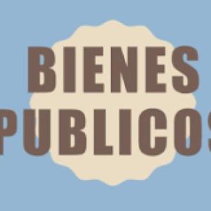 BIENES PUBLICOS