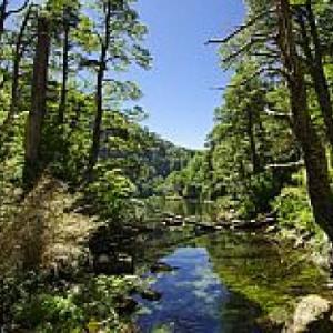 RECURSOS NATURALES