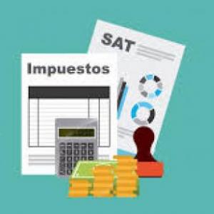 Disposiones Generales de las Personas Físicas