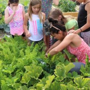 Garden memorize