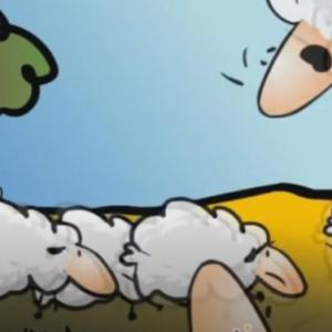 OVEJA PERDIDA