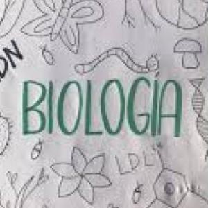 intercambio de materia y energía