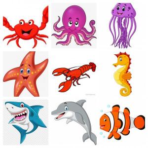 Memorama Animales marinos 