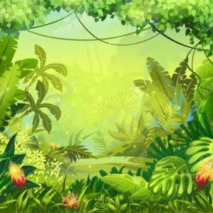 BUSCAMOS ANIMALES EN LA JUNGLA
