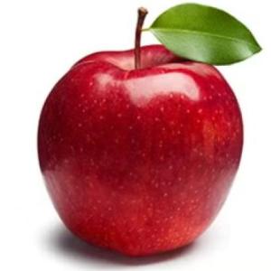 Portada del juego DESCUBRIENDO LAS FRUTAS – Lengua