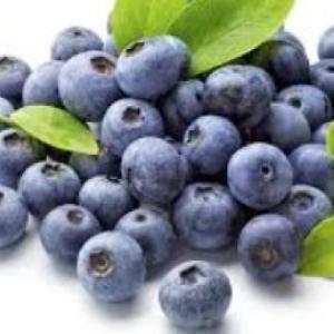 Portada del juego CONOCIENDO LAS FRUTAS – Lengua