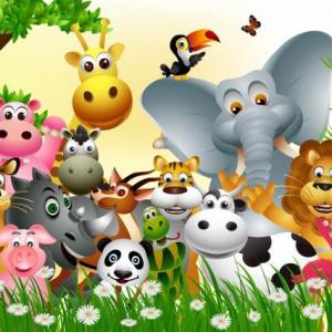 Descubriendo Animales