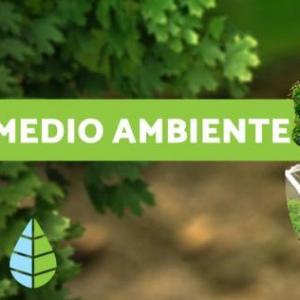 CUIDADOS DEL MEDIO AMBIENTE