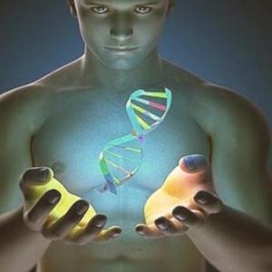 LOS SISTEMAS DE NUESTRO CUERPO
