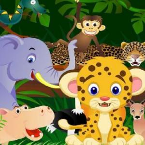 Animales
