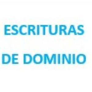 Busca tu referencia con su dibujo