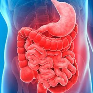 La nutrición y el sistema digestivo en el ser humano.