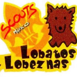 Duchazo de lobatos