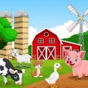 Portada del juego FARM – Idiomas