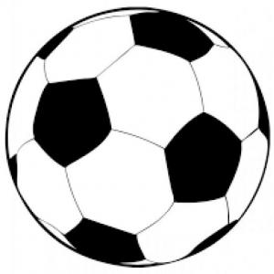 ELEMENTOS DE DEPORTES