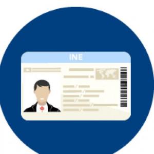 Documentos de identificación oficiales.