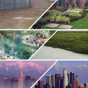 The enviroment
