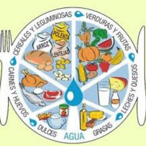 ALIMENTOS