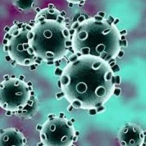 Coronavirus (Covid-19)