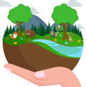 EL MEDIO AMBIENTE