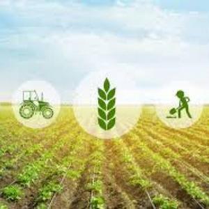 Uso de tecnología en el campo