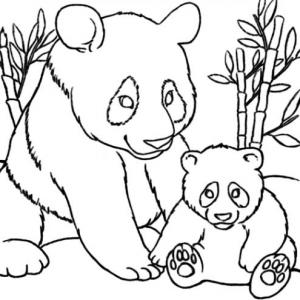 WILD ANIMALS