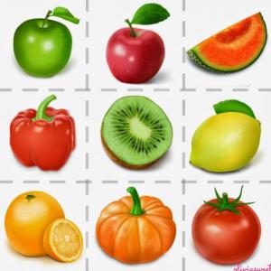 MEMORIA Y FRUTAS