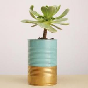 DESCUBRE IDEAS PARA CUIDAR EL MEDIOAMBIENTE