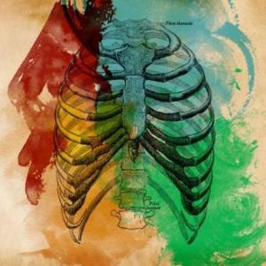 JUGANATOMY