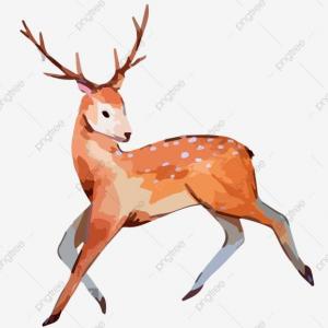 La piel del venado