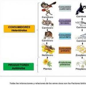 ecología