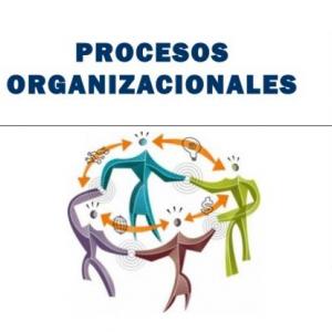 Actividad de Proceso Organizacional