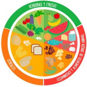 EL PLATO DEL BIEN COMER 