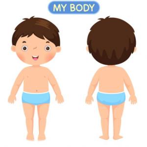 Parts of the body