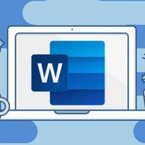 MS WORD