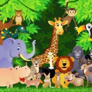 Memotets animales salvajes