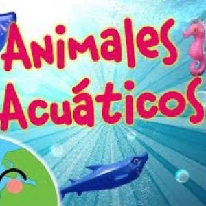 Imagen de portada del videojuego educativo: Animales Acuaticos, de la temática Ciencias