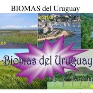 Imagen de portada del videojuego educativo: Biomas del Uruguay, de la temática Biología