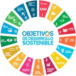 17 OBJETIVOS DE DESARROLLO SOSTENIBLE