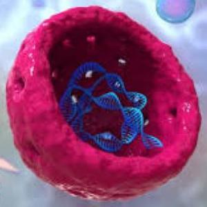 Biología La célula