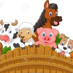 Los animales domésticos 