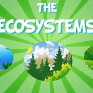 Imagen de portada del videojuego educativo: Ecosystem, de la temática Ciencias