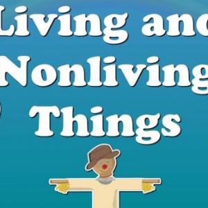 Imagen de portada del videojuego educativo: Living and Non Living Things 2, de la temática Ciencias